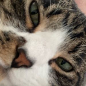 Meet your Posher, Grace